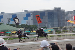 DSC06006.JPG