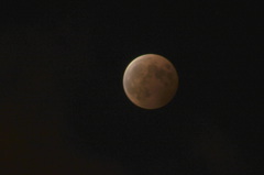 DSC02689-2.JPG