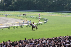 DSC08620.JPG