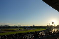DSC09458.JPG