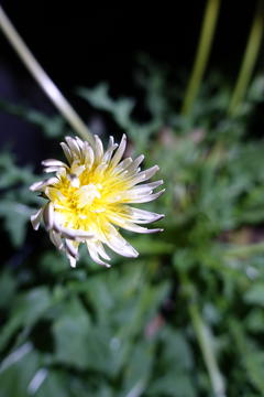DSC03065.JPG