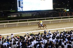 DSC09962.JPG