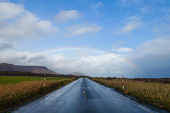 DSC03319-1.jpg