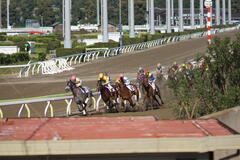 DSC06108.JPG