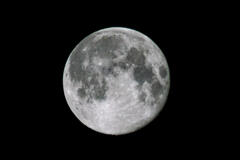 DSC07442-e.jpg
