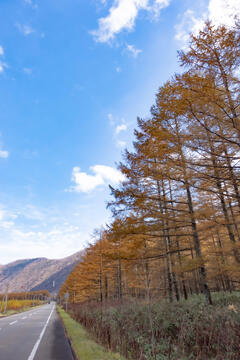 DSC03573-e.jpg