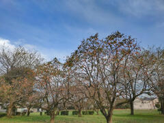 min-20231025_150122.jpg