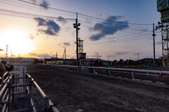 DSC07625-e.jpg