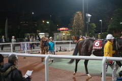 DSC08737-e.jpg