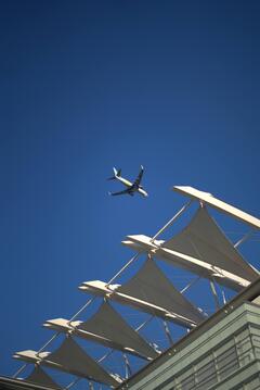 DSC02660.ARW.jpg