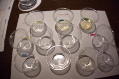 DSC02946.ARW.jpg