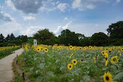 min-DSC02368.jpg