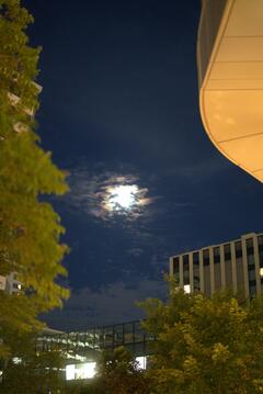 DSC04982.ARW.jpg