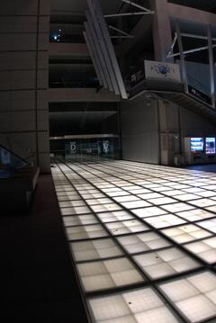 DSC03458.ARW.jpg