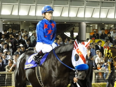 DSC00433.JPG