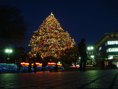 DSC08485.JPG