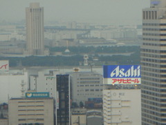 DSC00222.JPG