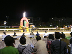 DSC00407.JPG