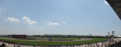 DSC06533.JPG