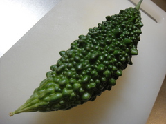DSC07594.JPG