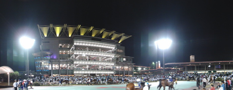DSC08030.JPG