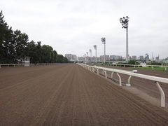 DSC06916.JPG