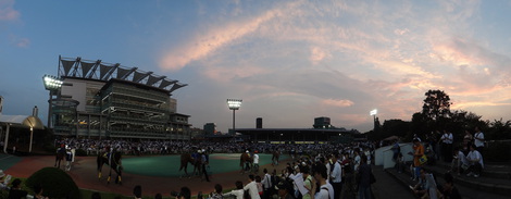 DSC06074.JPG